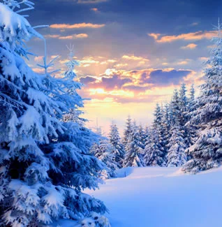 İstanbul'a En Yakın Karadeniz Kış Tatili : Beyazın İçinde Sıcacık Anlar