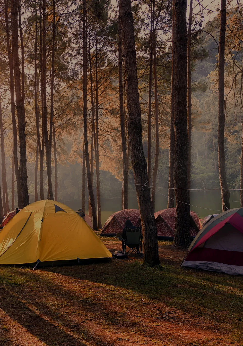 Çadır Kampı | Aytepe Park