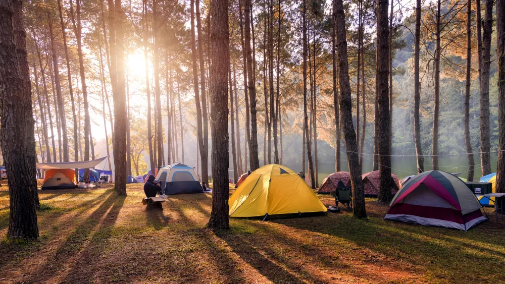 Günübirlik Kamp | Aytepe Park